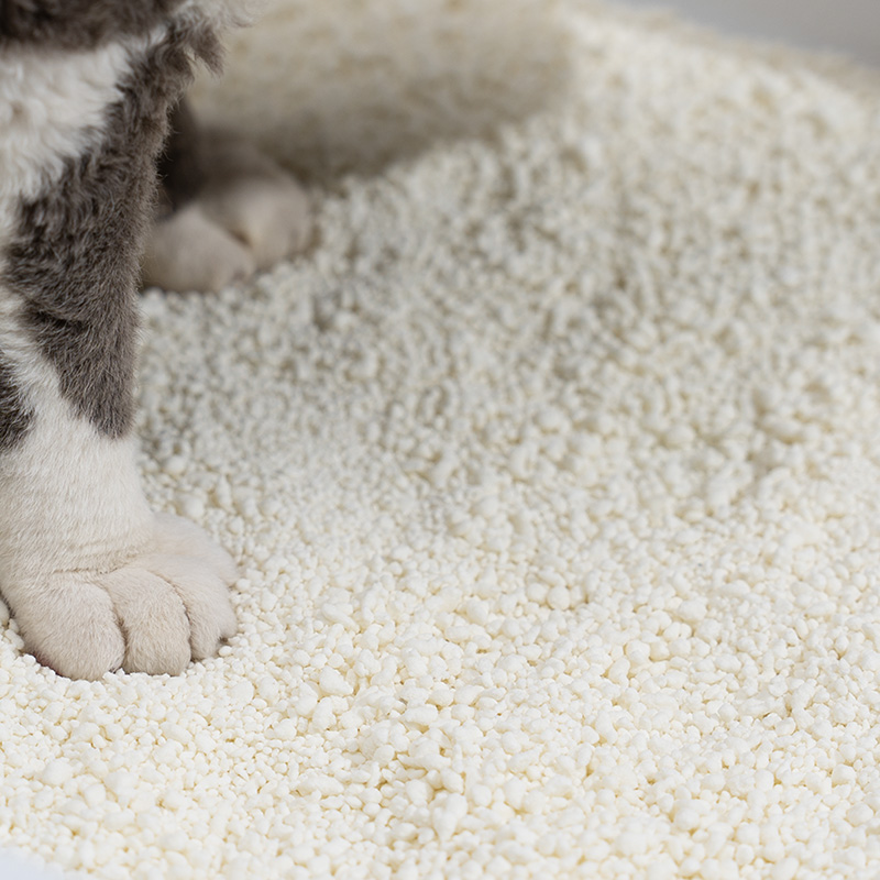 옥수수 쓰레기의 안전, 장단점, 고양이 주인을 위한 최선의 대안