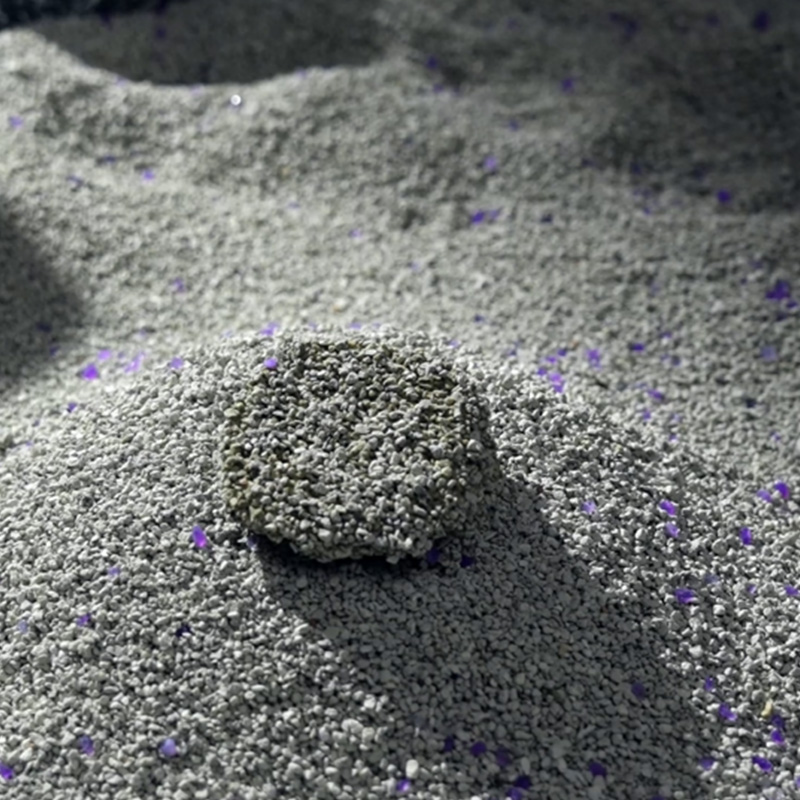 미네랄 고양이 쓰레기: 혜택, 사용 및 최선의 선택에 대한 실용 가이드